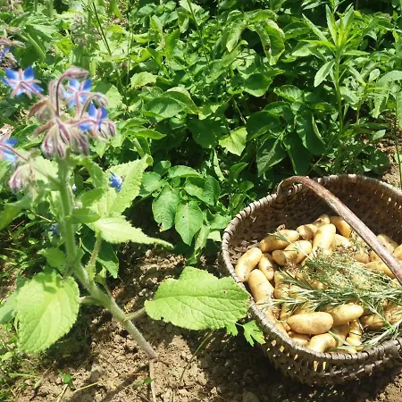 Coqcooning Oda ve Kahvaltı