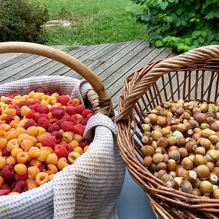 Coqcooning Oda ve Kahvaltı *