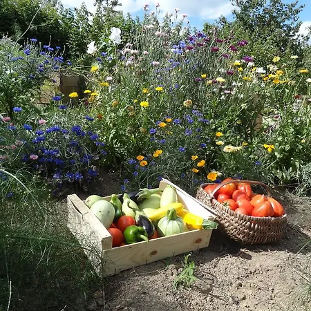 Bed & Breakfast Coqcooning Tours-Sur-Meymont