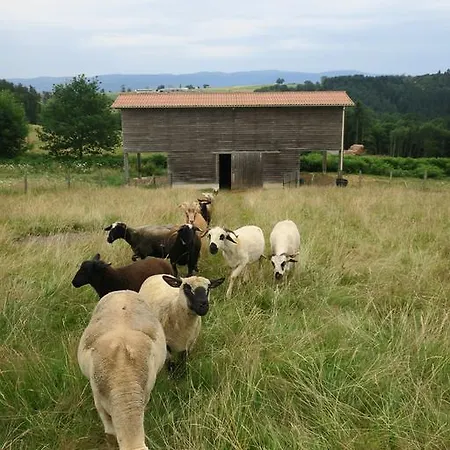 Coqcooning Bed & Breakfast