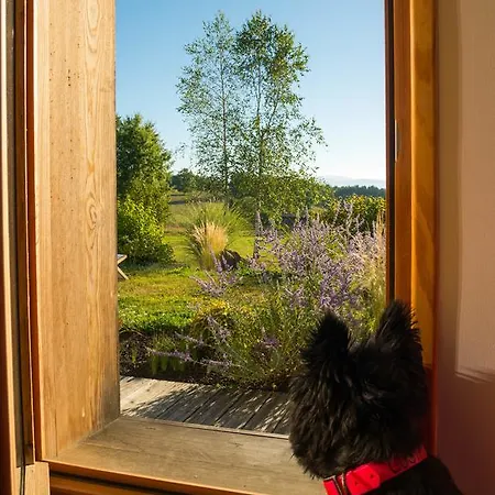 Bed & Breakfast Coqcooning Tours-Sur-Meymont
