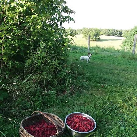 Bed & Breakfast Coqcooning Tours-Sur-Meymont
