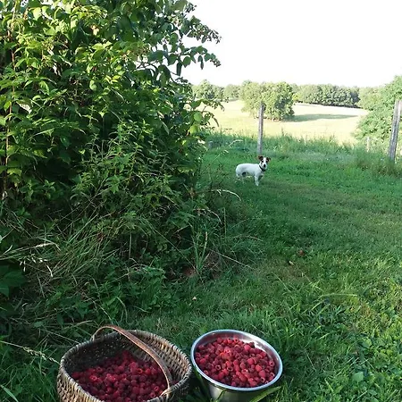 Oda ve Kahvaltı Coqcooning Tours-Sur-Meymont